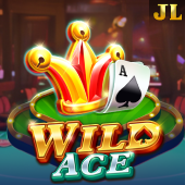 Wild Ace on playtime gaming